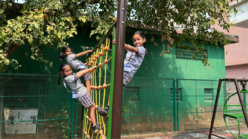 Jungle Gym